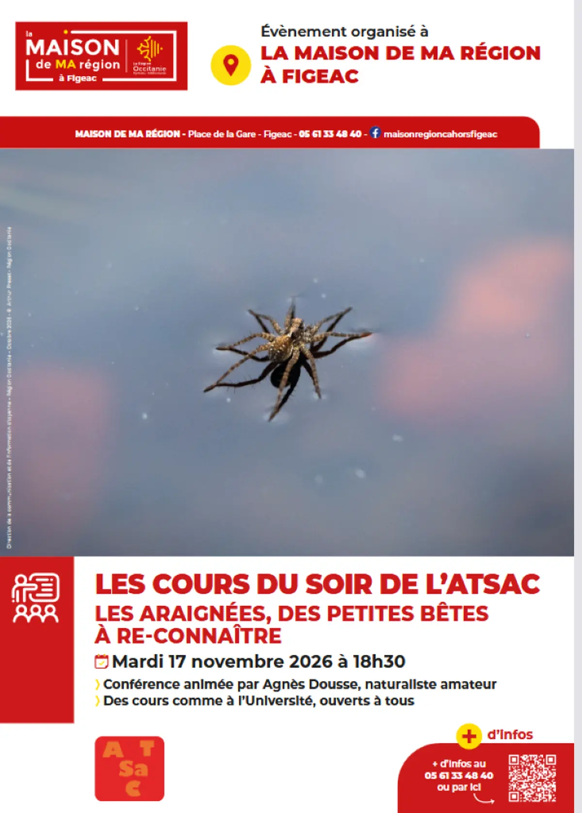 Maison de la région à Figeac, les araignées, des petites bêtes á reconnaître