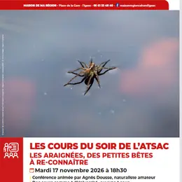 Maison de la région à Figeac, les araignées, des petites bêtes á reconnaître