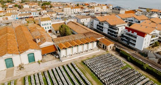 Maison Noilly Prat : Visite historique guid&eacute;e + d&eacute;gustation de vin