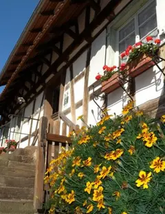 Maison Rurale de l'Outre-Forêt