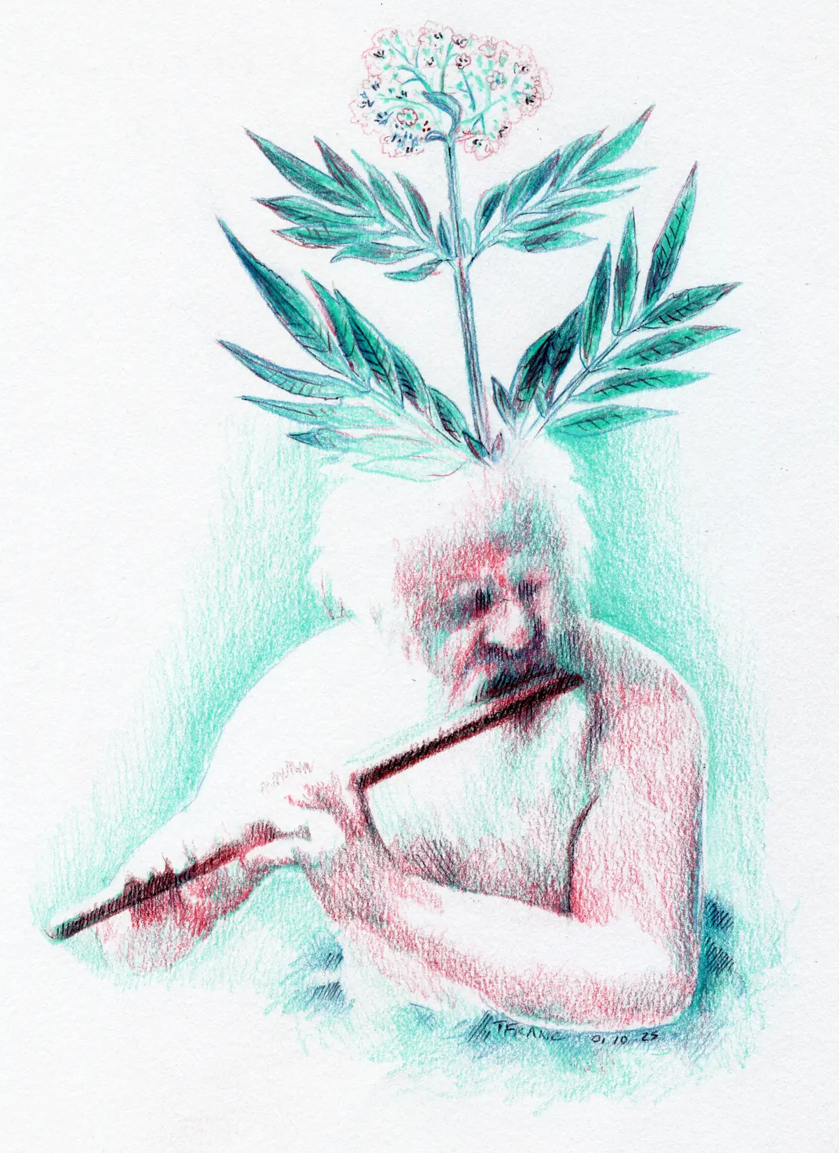 Malherbes, Plantes sorcières du milieu urbain