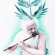 Malherbes, Plantes sorcières du milieu urbain