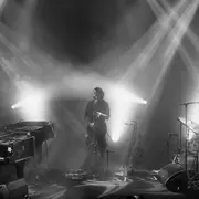 Mammal Hands
