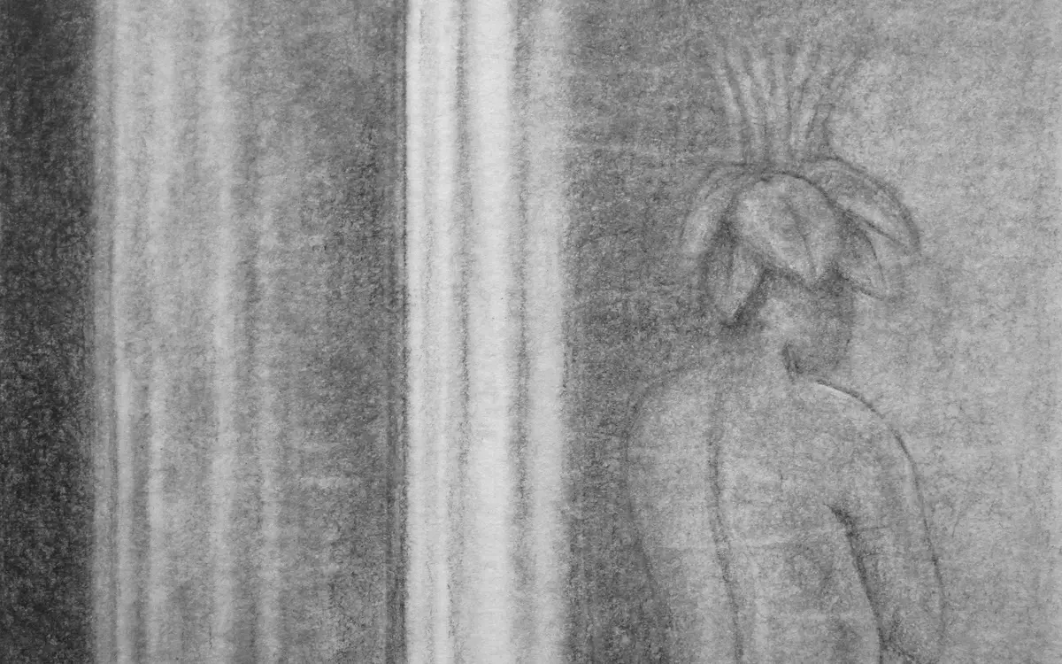 Détail du dessin Specimen mandragora feminae