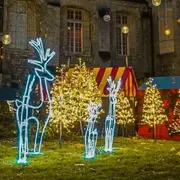 Manège de Noel