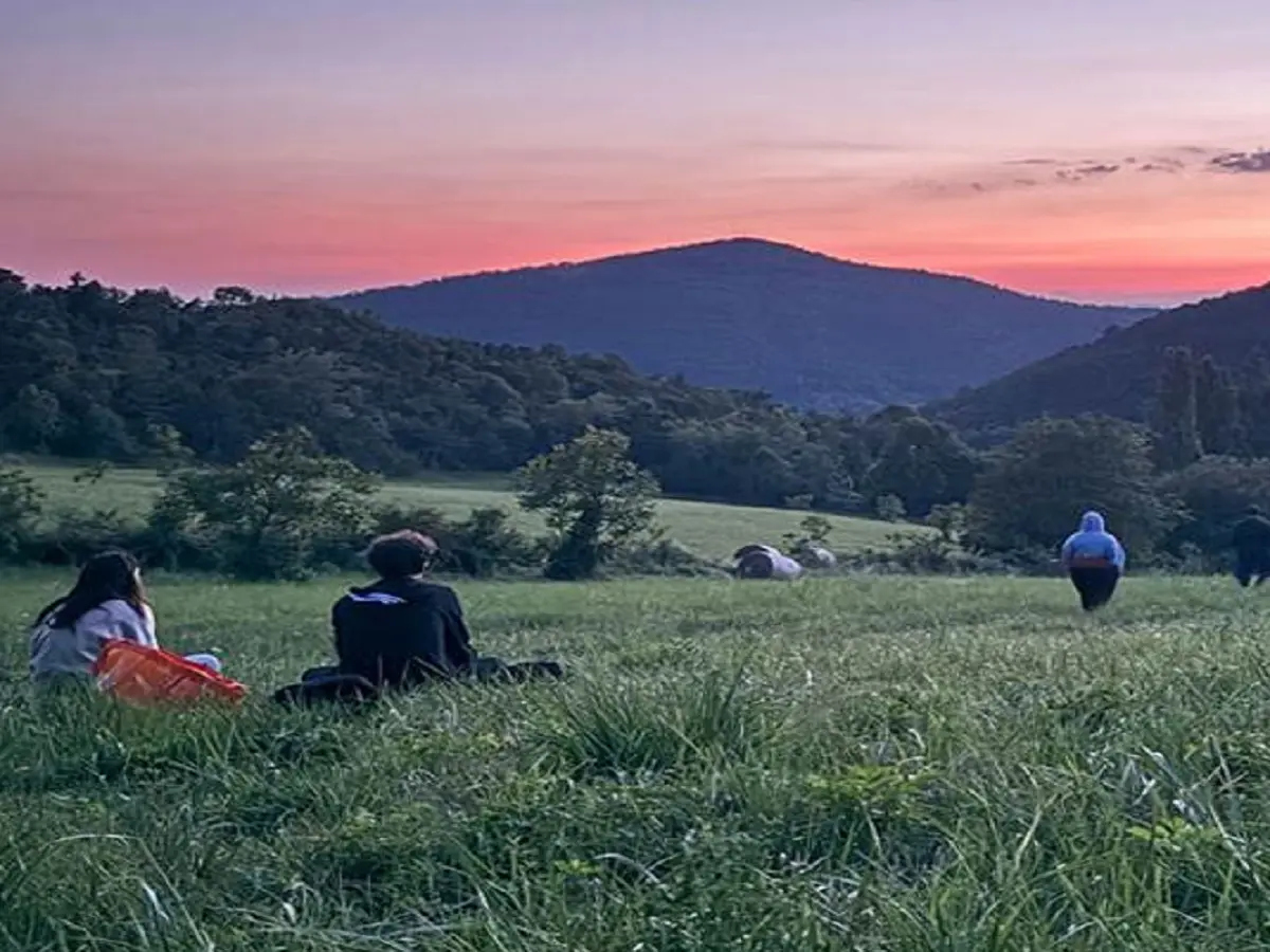 Manières D’être Vivant