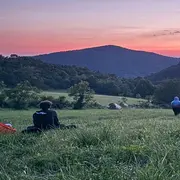 Manières D’être Vivant