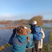 Marais blancs et oisaux hivernants