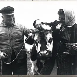 Marais du Bauptois : l'or des communs