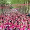 Participantes de la Rochambelle à l'occasion du Marathon de la Liberté de Caen &copy; Facebook / Marathon de la Liberté