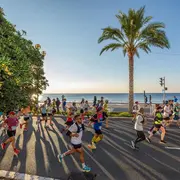 Marathon des Alpes-Maritimes Nice-Cannes 2026