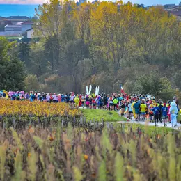Marathon International du Beaujolais 2026