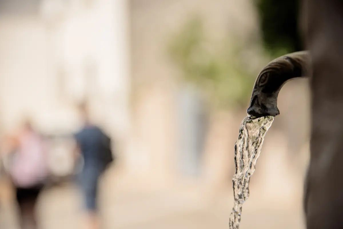 Marcel Pagnol d'Aubagne à la Treille- Circuit guidé urbain 1/2 journée