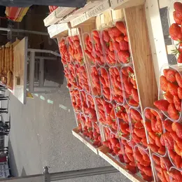 Marché