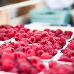 Marché à Châteauponsac
