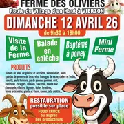 Marché à la ferme
