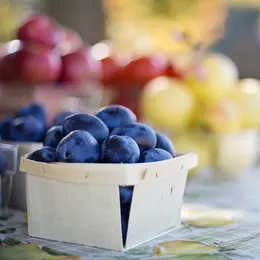 Marché à Magnac-Laval