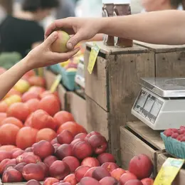 Marché à Puy-l'Evêque