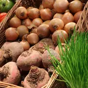 Marché à Saint-Sulpice-Les-Feuilles