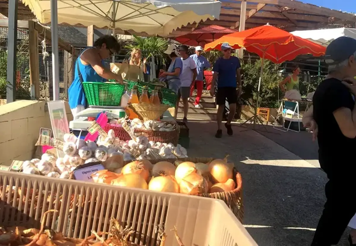 Marché alimentaire de producteurs   Le Pic Vert du jeudi soir 
