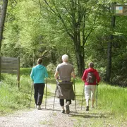 Marche annuelle autour de Lugaut