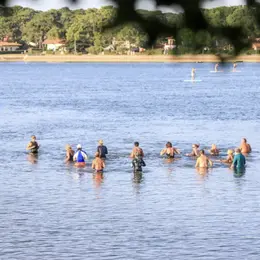 Marche aquatique au Lac