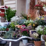Marché Artisanal et aux plantes