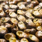 Marché Artisanal Fête De L'Escargot