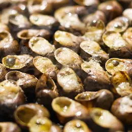 Marché Artisanal Fête De L'Escargot