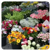 Marché aux fleurs à Roulans
