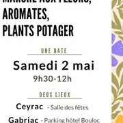 Marché aux fleurs, aromates et plants potagers