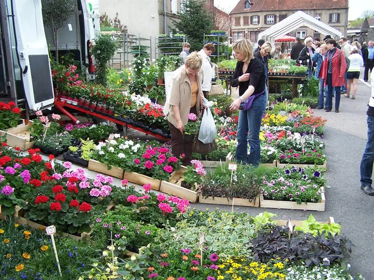 Marché aux fleurs, Artisanat et Saveurs du terroir