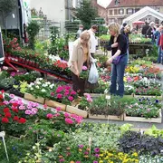 Marché aux fleurs, Artisanat et Saveurs du terroir
