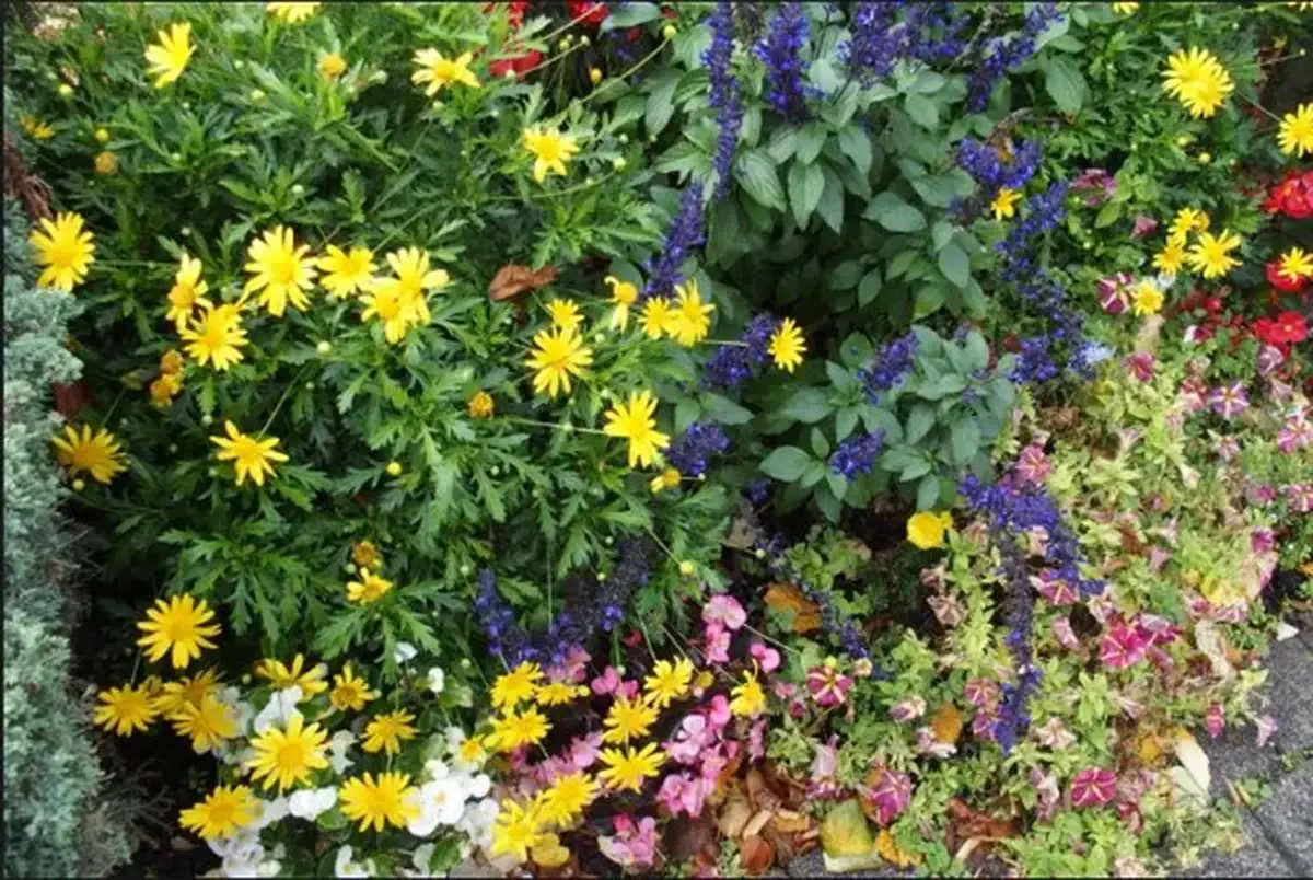 Marché aux fleurs et plants à Sainte Eulalie d'Olt