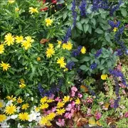 Marché aux fleurs et plants à Sainte Eulalie d'Olt