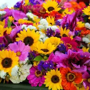 Marché aux fleurs et vide grenier