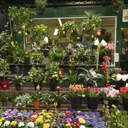 Marché aux fleurs Reine Elizabeth II à Paris