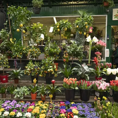 Marché aux fleurs Reine Elizabeth II à Paris