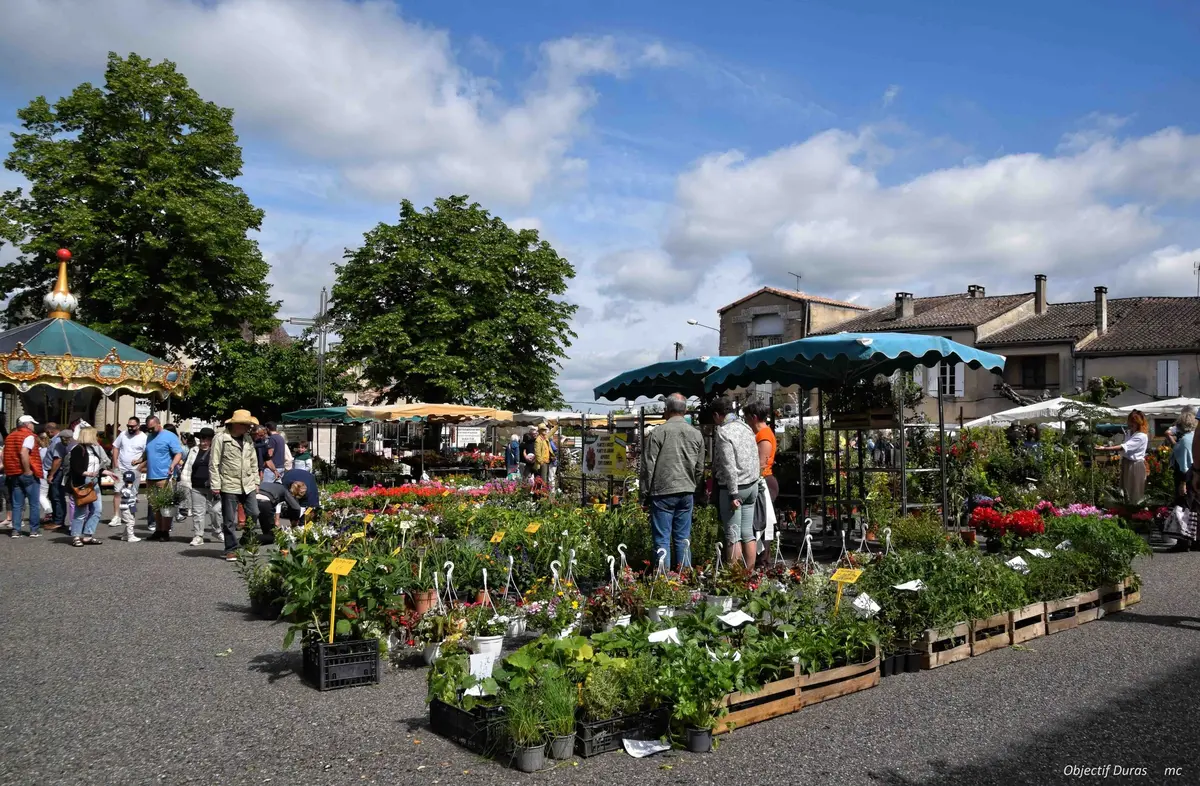 Marché aux fleurs, vide-greniers et artisanat