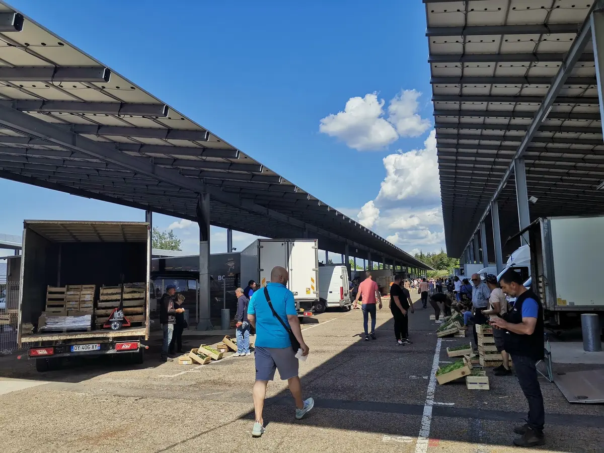 Marché aux Fruits et Légumes au gros