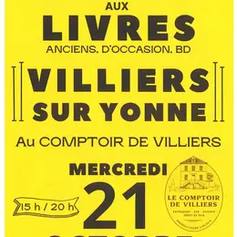 Marché aux livres anciens, d'occasion et BD