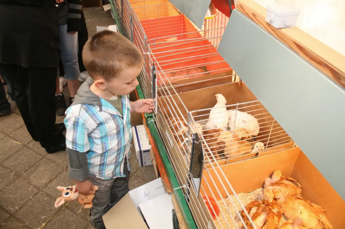 Le marché aux œufs de Wintzfelden-Soultzmatt