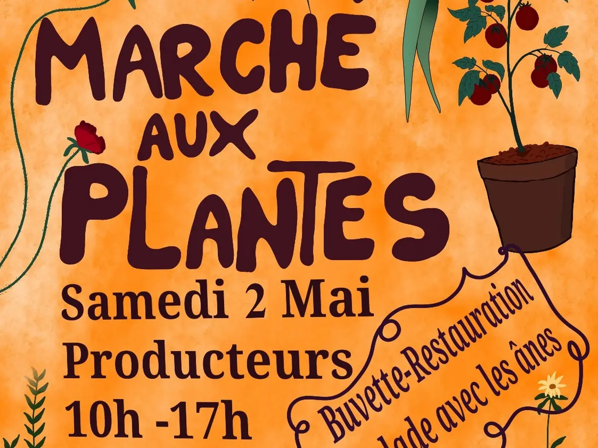 Marché Aux Plantes