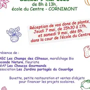 Marché aux plantes