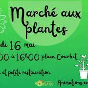 Marché aux plantes