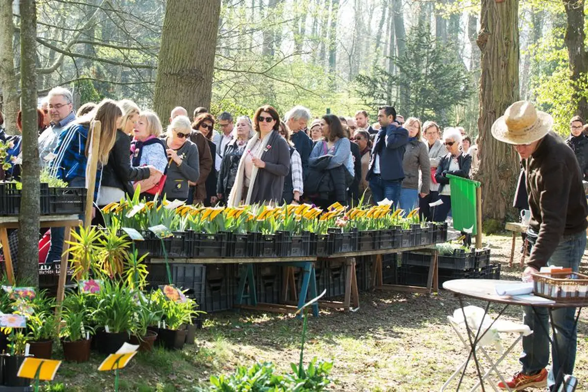 Vous saurez tout sur les plantes !