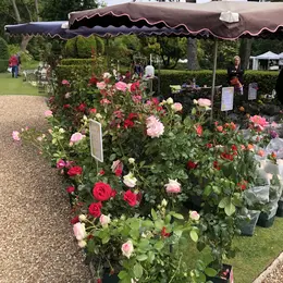 Marché aux plantes et produits du terroir
