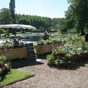 Marché aux plantes et produits du terroir