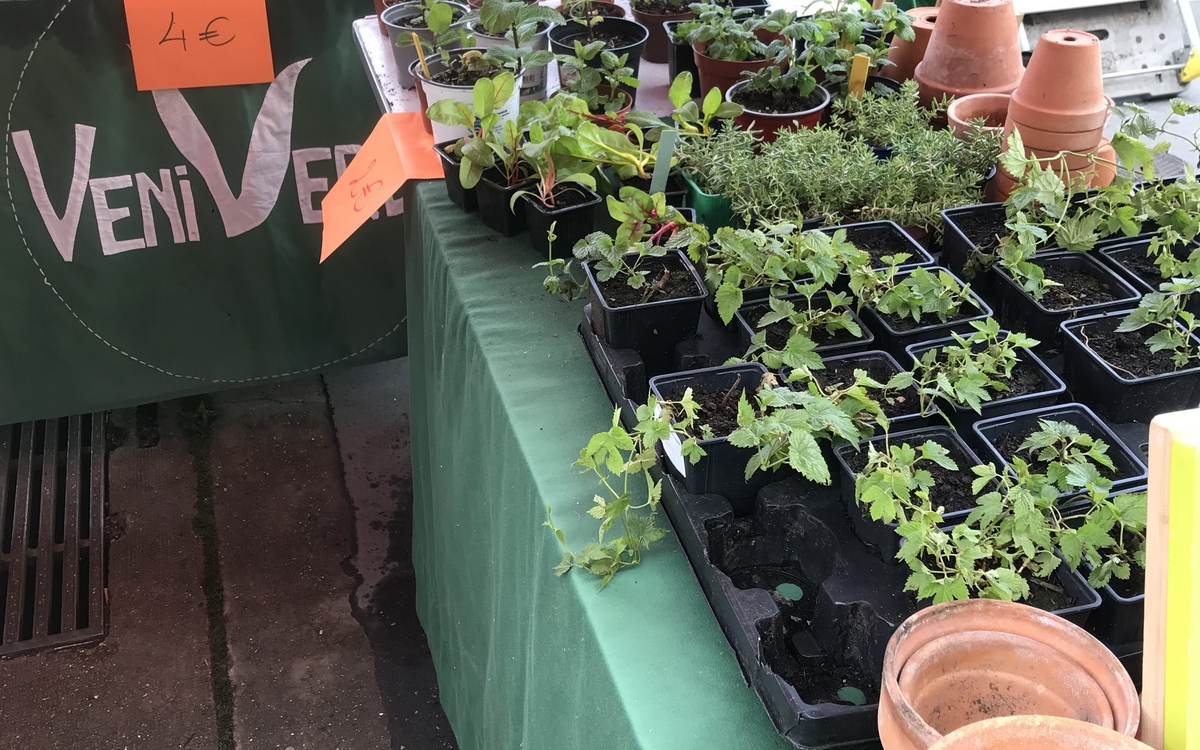 Marché aux plantes local et festif de la Brasserie des Regards