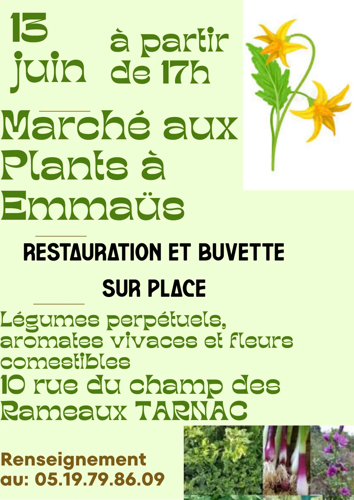 Marché aux plants à l'Emmaüs montagne limousine